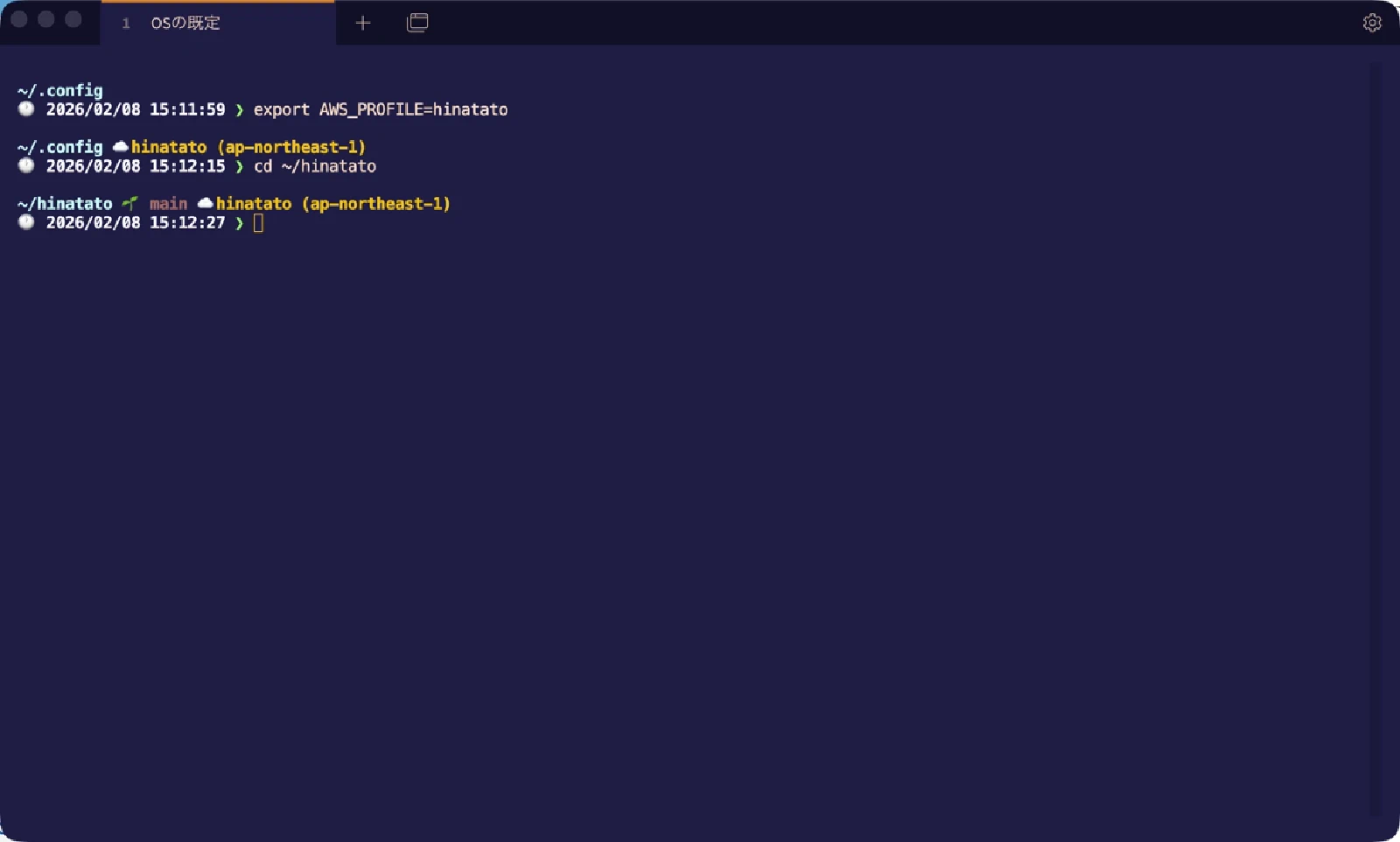 AWSプロファイルとリージョンの表示