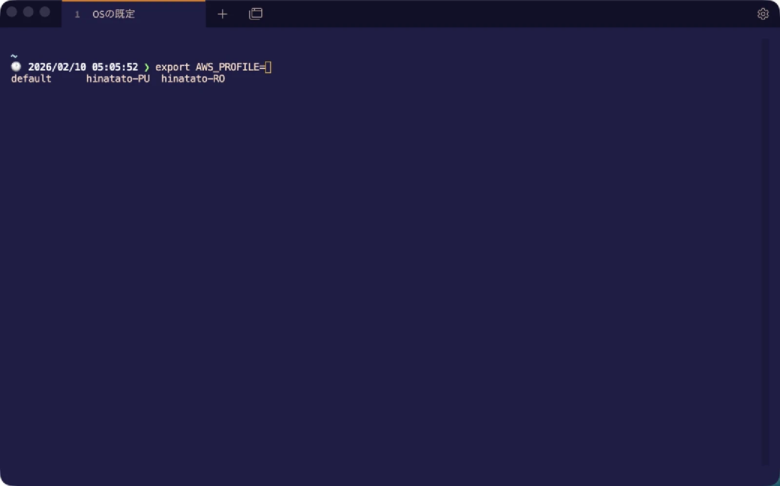AWS_PROFILEの補完候補
